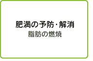 肥満の予防・解消