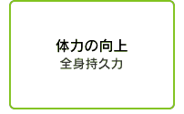 体力の向上