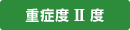 重症度2度