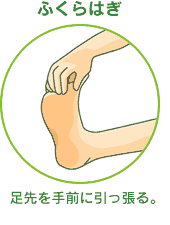 ふくらはぎ⇒足先を手前に引っ張る